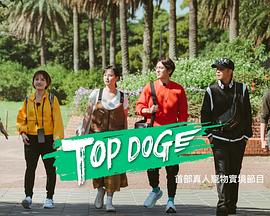 91成人抖阴《TOP DOG》免费在线观看